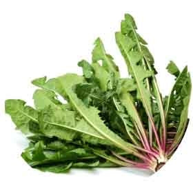 Dandelion Leaf